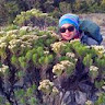 organization avatar