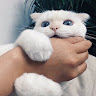Jefferson Lim