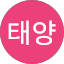 김태양
