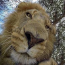 Sienna Hill