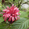 Karin Mor's photo
