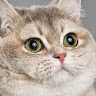 user_oh0o0hvrsy8td6t7 member profile picture
