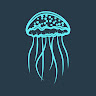 Writer: Medusas Dive Cozumel