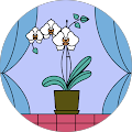 Aden's Taco Catering - 