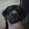 boyboy912's Avatar