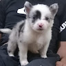 mecatronicxd