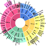 Writer: Spatial Society