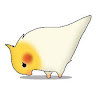 XaviChiquitin member profile picture
