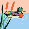 View duck_ducked_ducky1930231's Profile