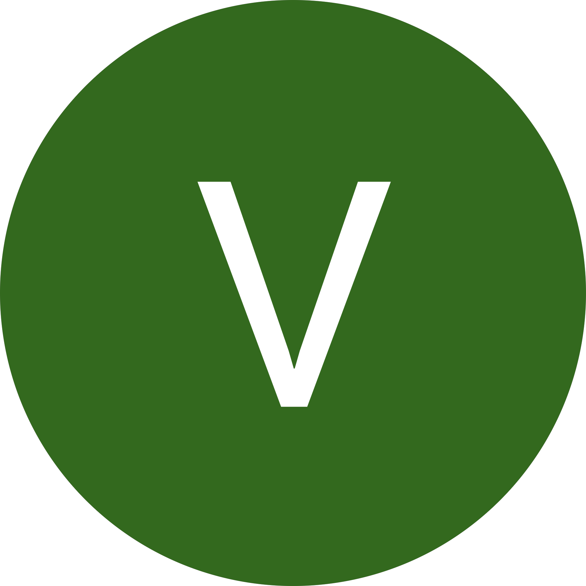 Vijdan Güneş