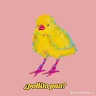 Taco-d-Pollo