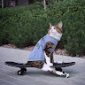 @sankatze1