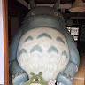 浦霞