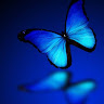 Created by