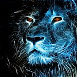 Moshe Pineda (SHOMER FIRE)