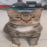 user_ke0akq5sdimoaefe15910 member profile picture