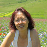 Nguyen Thu Ha