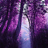 Created by