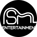 MSM ENTERTAIMENT LLC