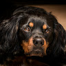 framboise.demoulin's profile picture