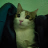 Samet T**** Profil Resmi