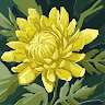 User7001627