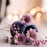 Created by