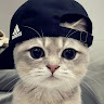 Avatar MD.z