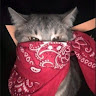Nania