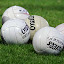 St. Margaret's GAA Club (Owner)