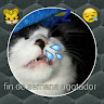 Created by