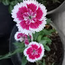Created by