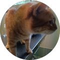 Avatar de Ludovic.a