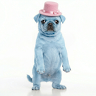 BLUE DOG