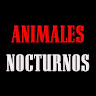Animales Nocturnos