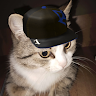 kitren