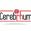 Cerebrhum Centro de Formação Humana