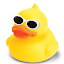 Duckie Boi (Owner)