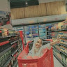cindy aulia