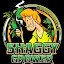 Shaggy Grower (Owner)