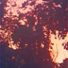 QC345 member profile picture