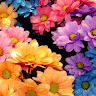 Created by