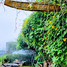 kodaiheavenresort1