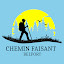 Chemin Faisant (власник)