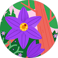 Avatar de nadine.l