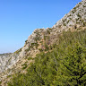 yusuf-diler