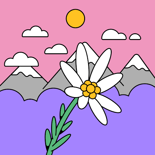 Dan
