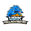 ASD Ubik Pallacanestro (Owner)