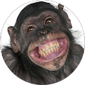 Avatar de Bruno.a