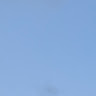 いくらごはん